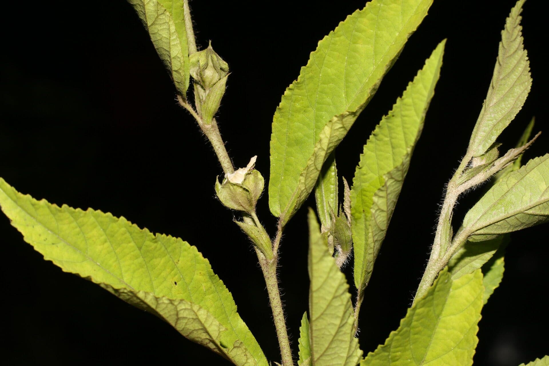 Sida 9