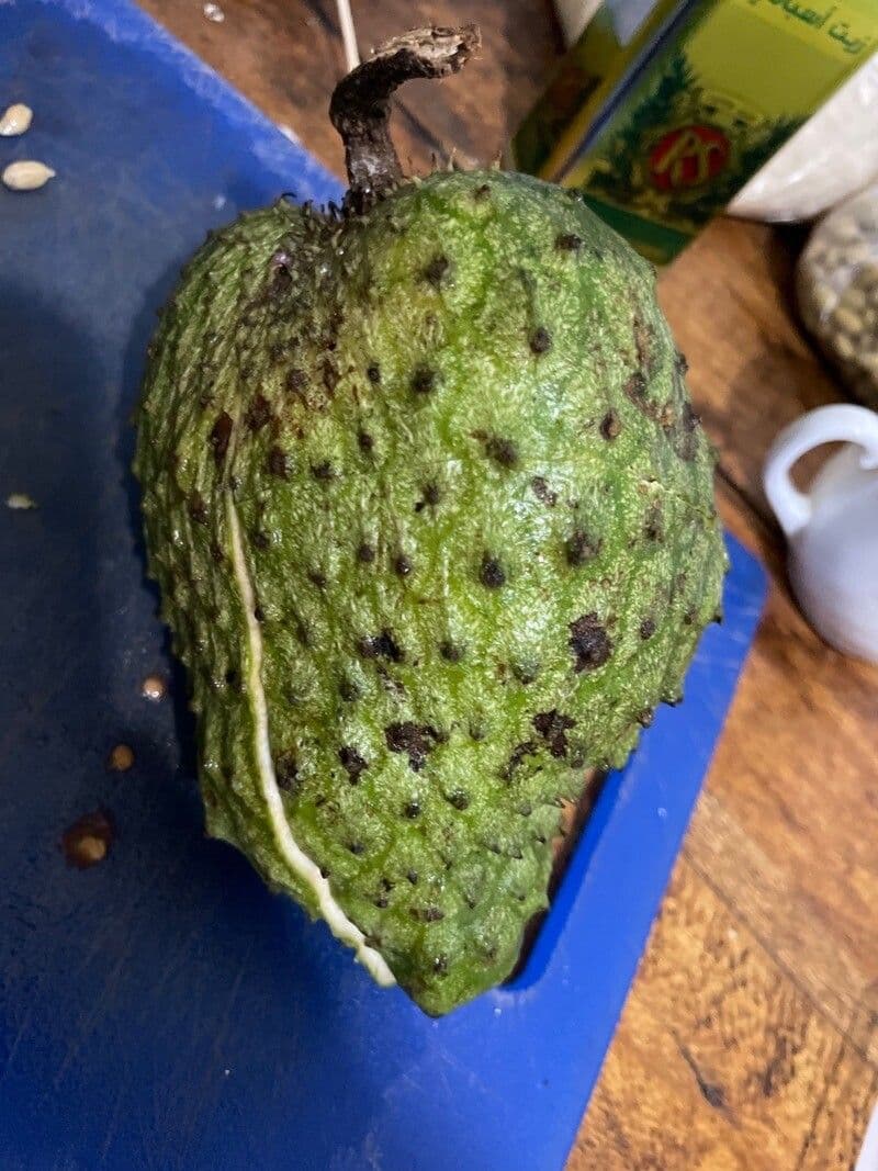 Graviola 4