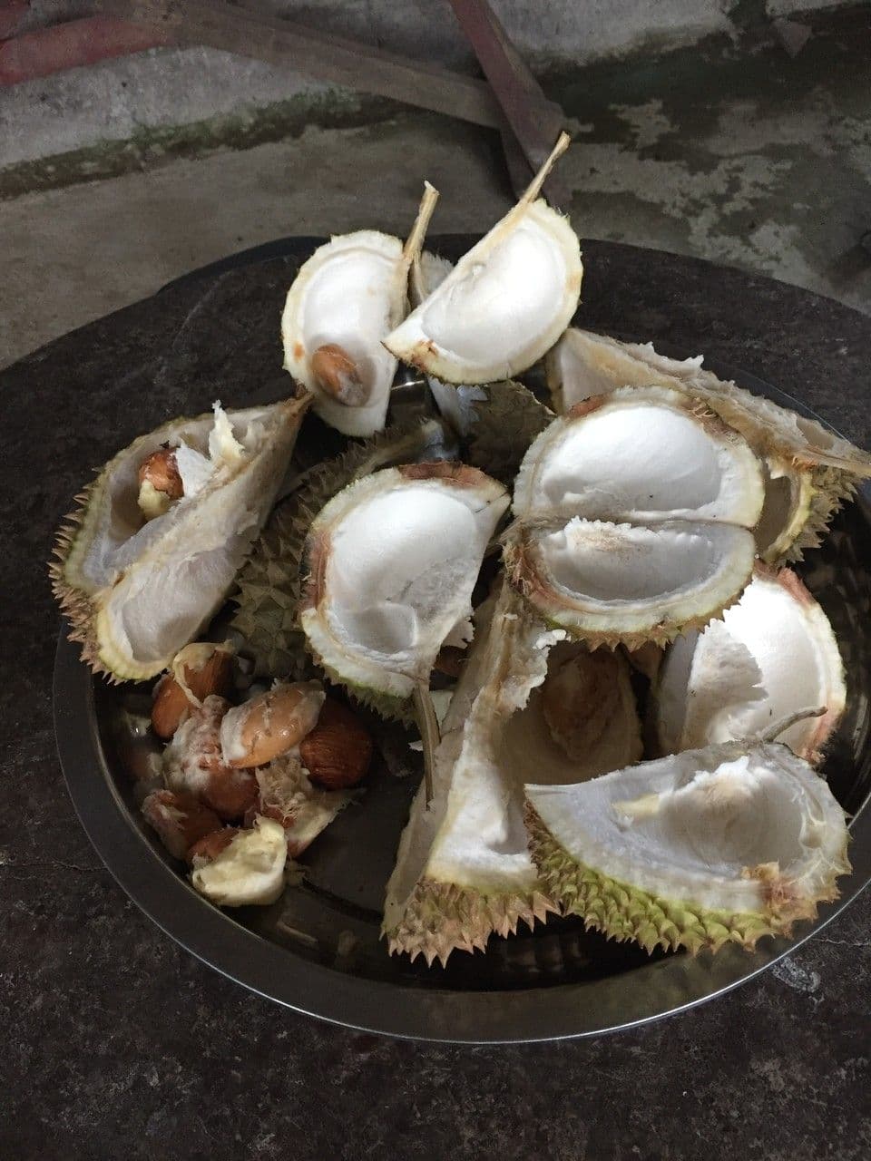 Durian 24