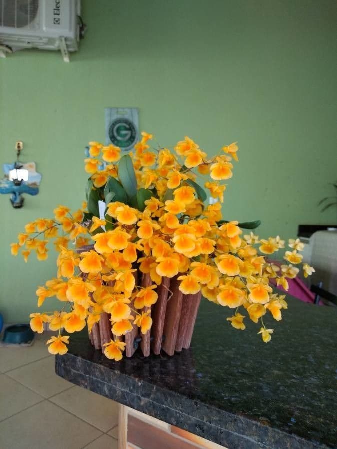 Dendrobium 2