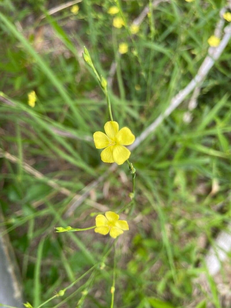 Mittlerer Lein 5