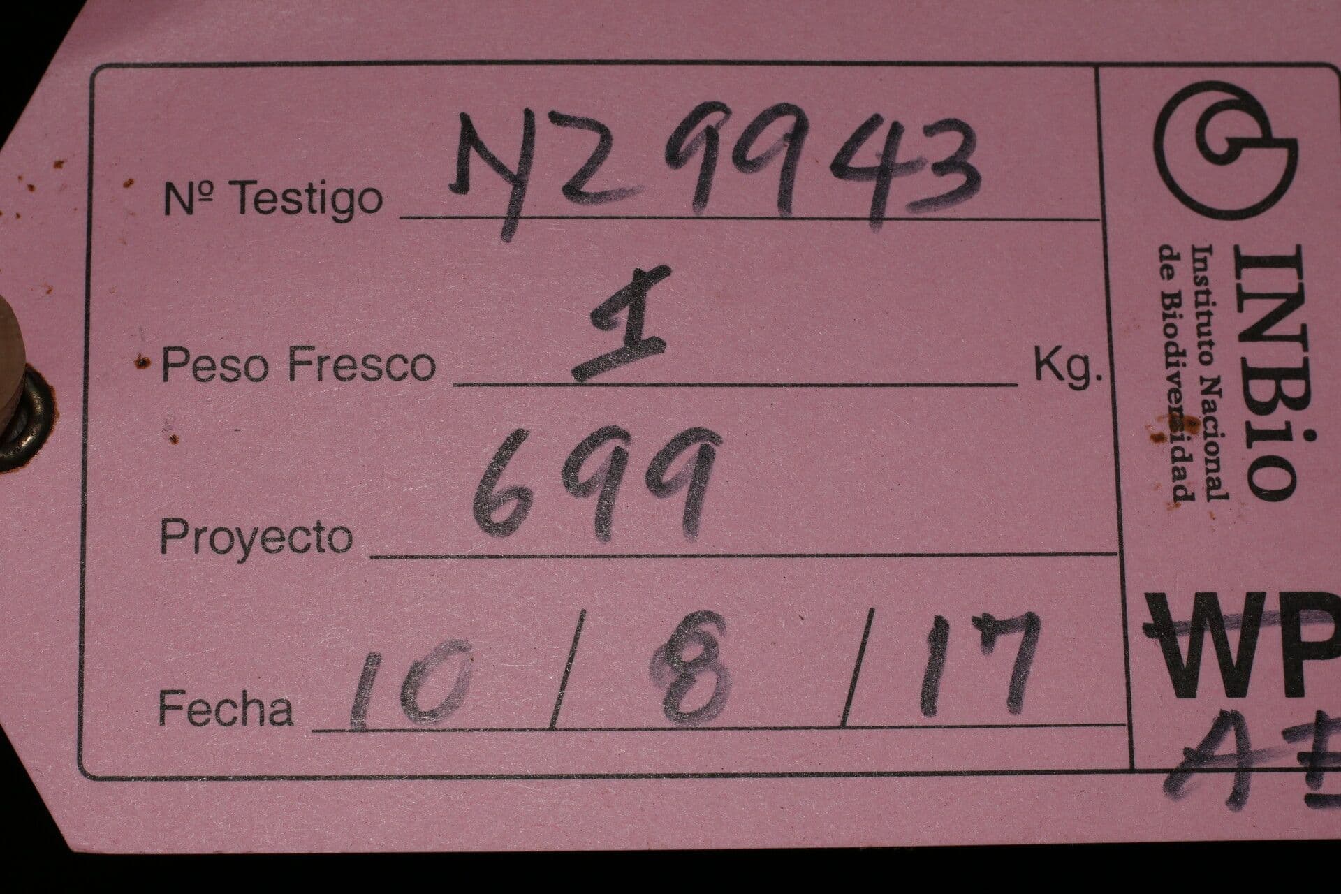 Colubrina 9