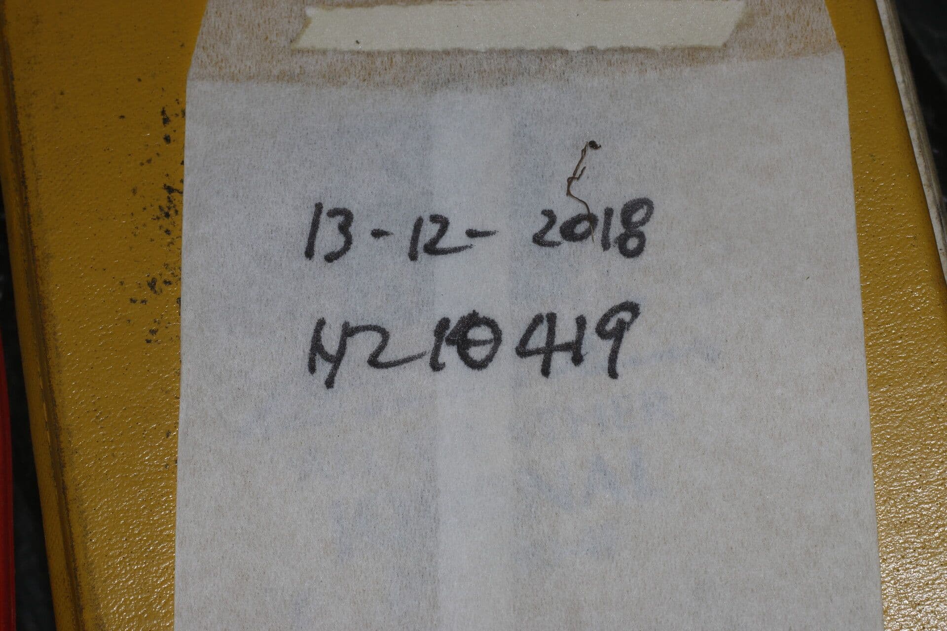 Heterotis 19