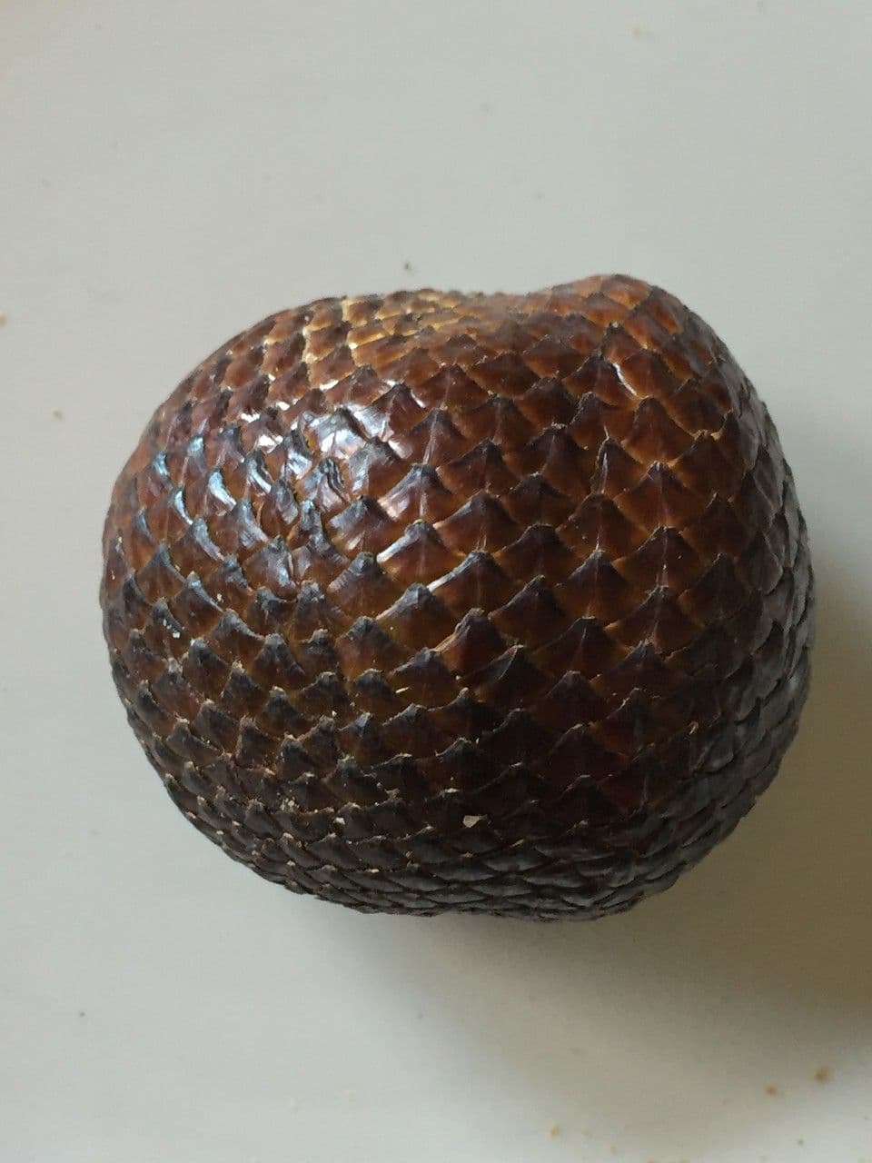 Salak 18