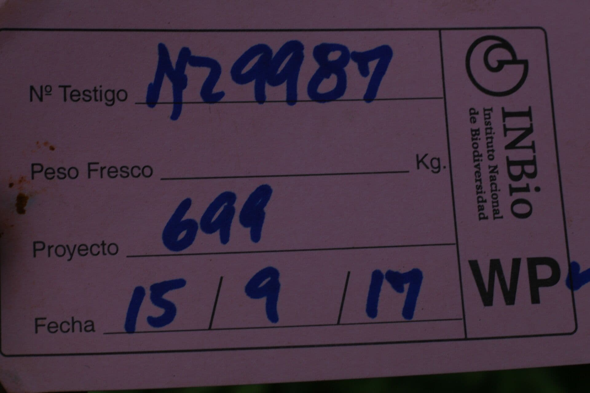 Drobná modro srdce 15