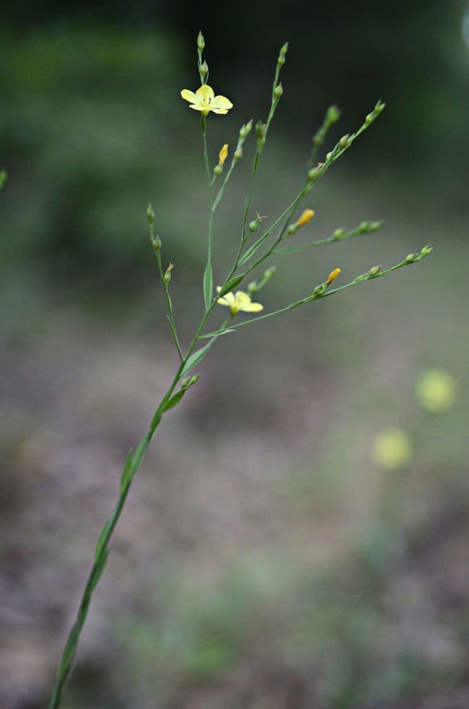 Mittlerer Lein 8