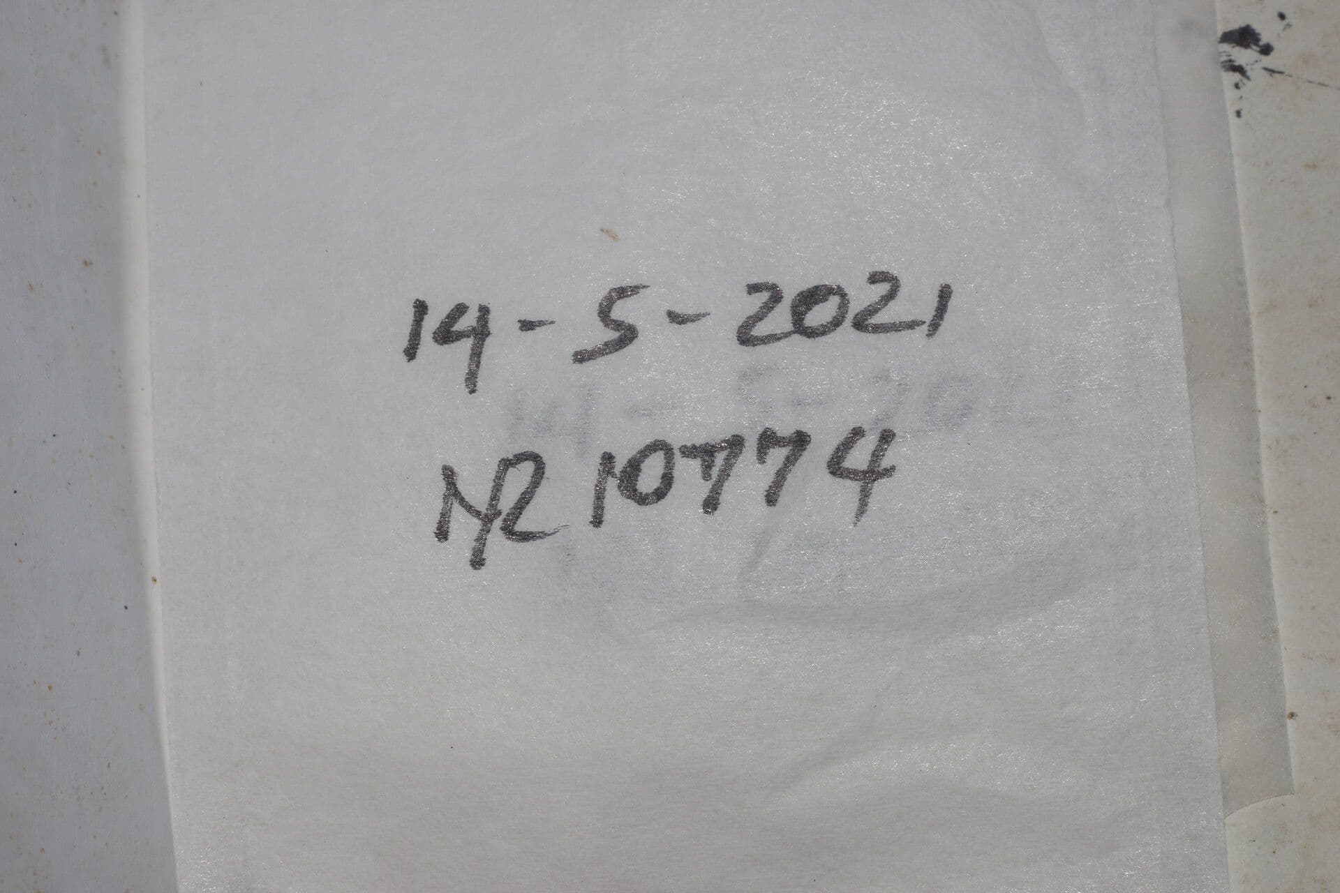 Dichapetalum 6