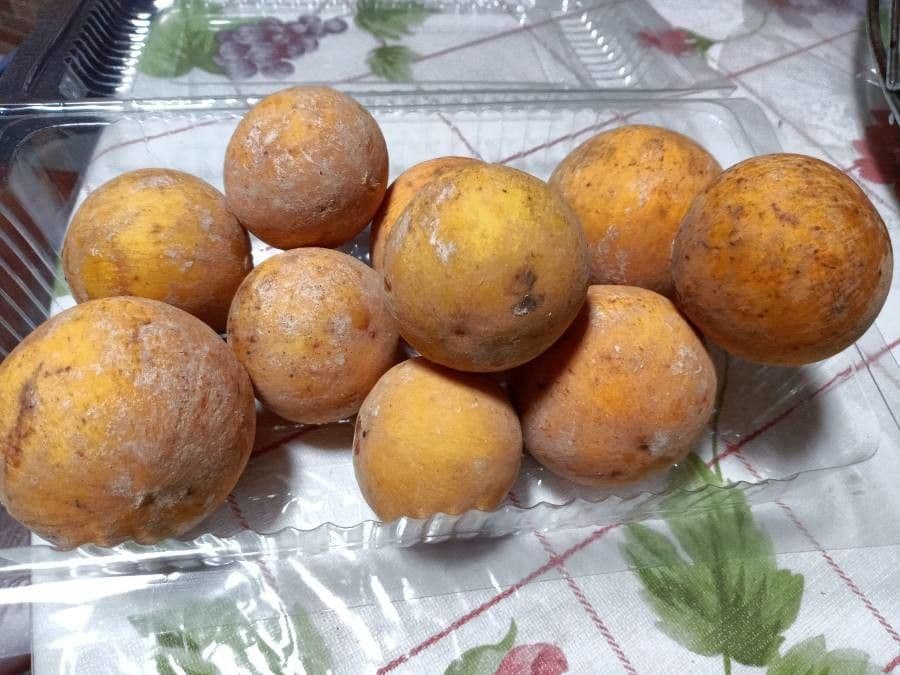 Santol 3