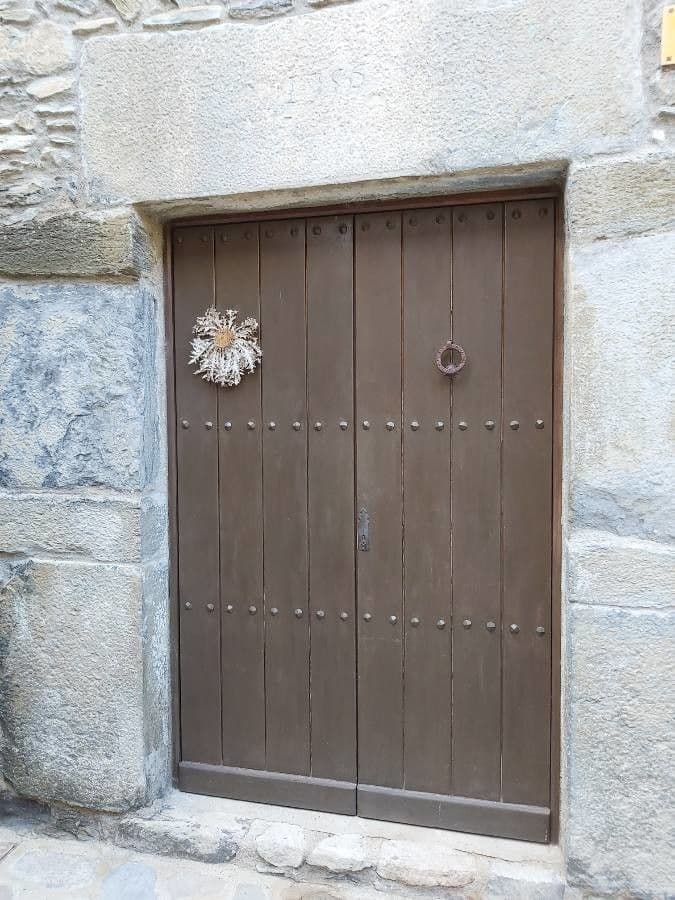 Akantusblättrige Eberwurz 26