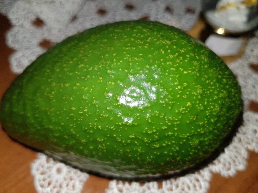 Avocado 5