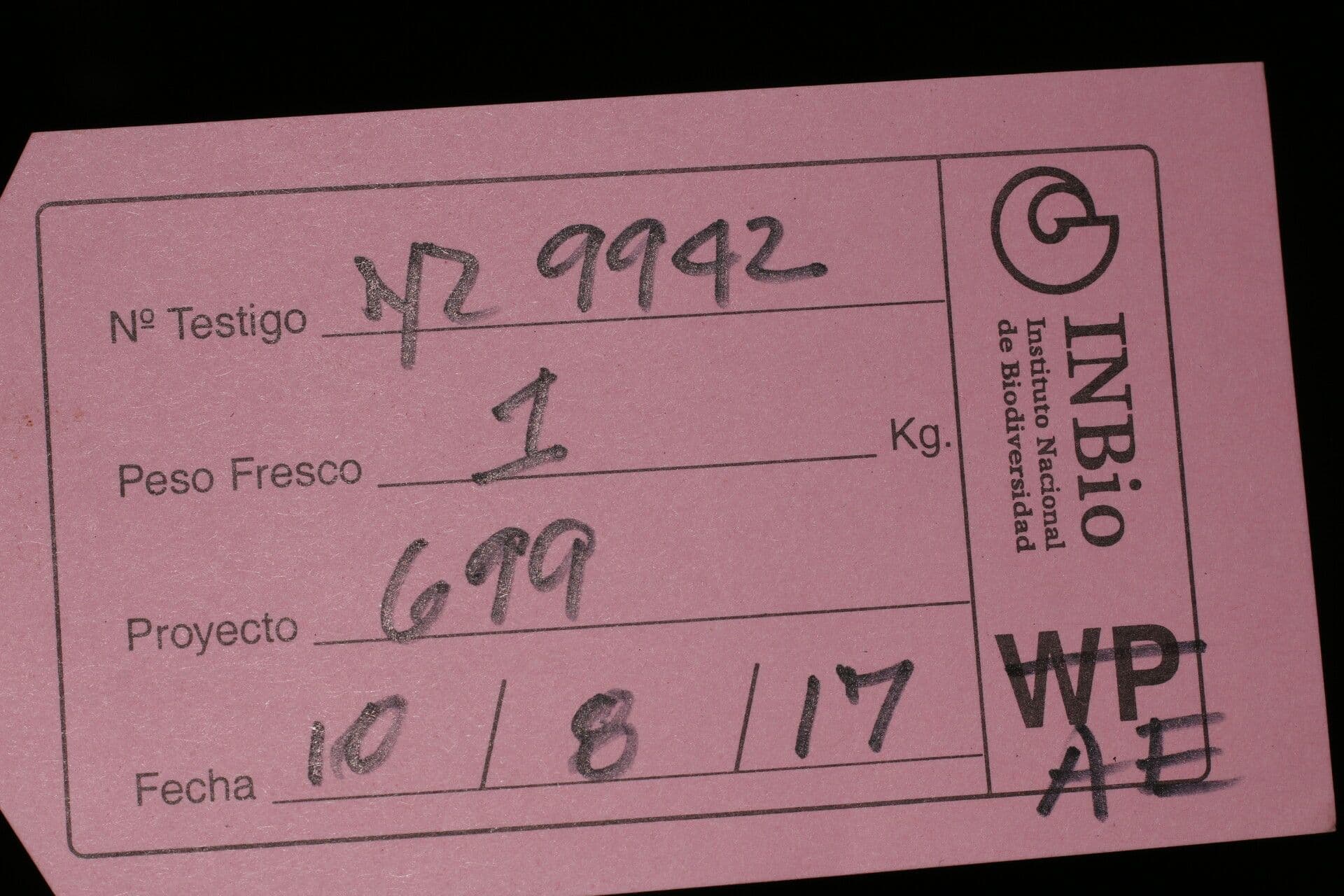 Piombo 26