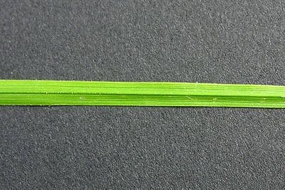 Cárice criptolepis 7