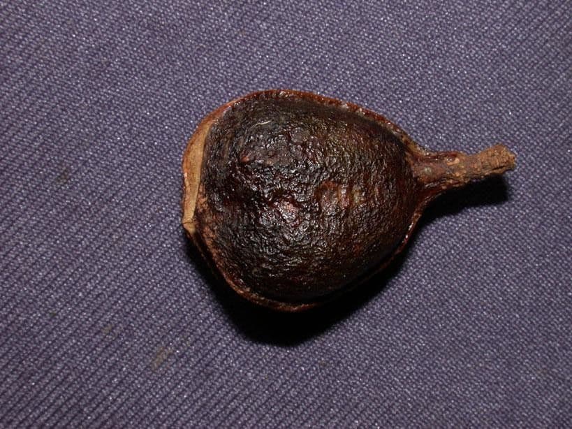Vouarana
