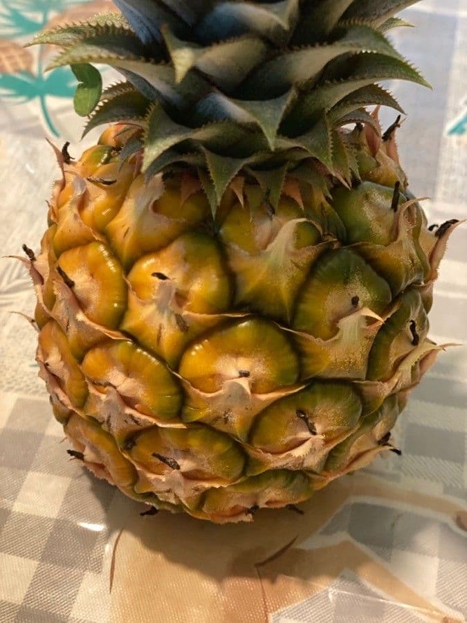 Ananas 25