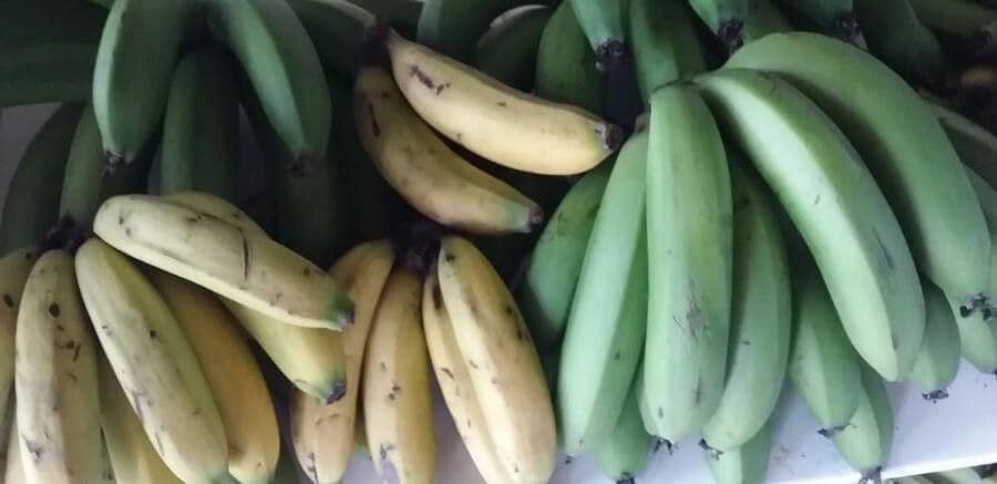 Bananovník“, “ 2