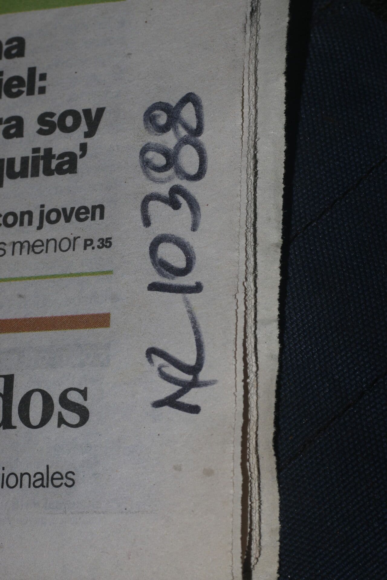 Guatteria 17