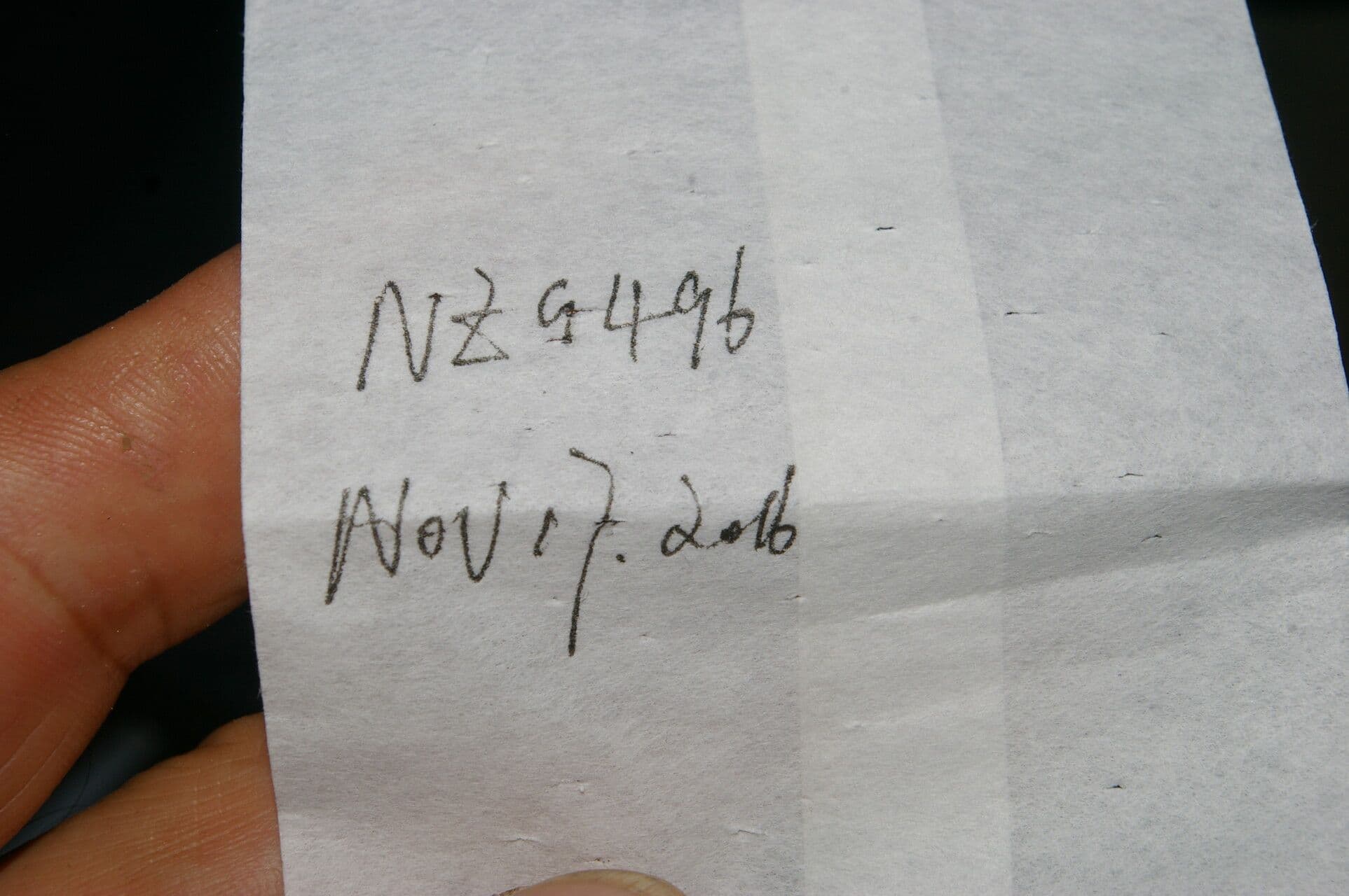 Tuřice drsná 14