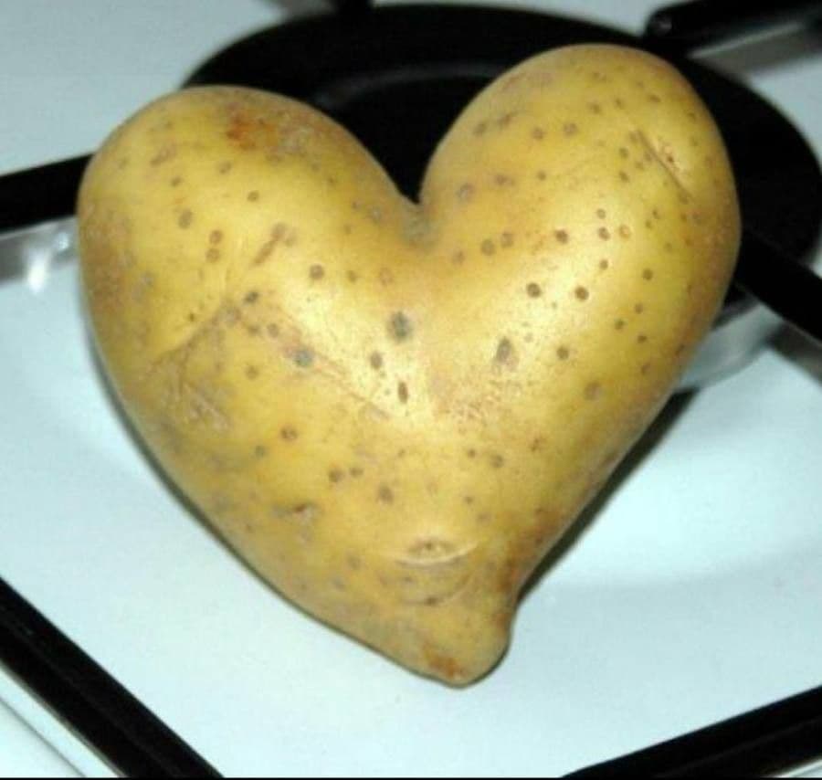 Patata 5