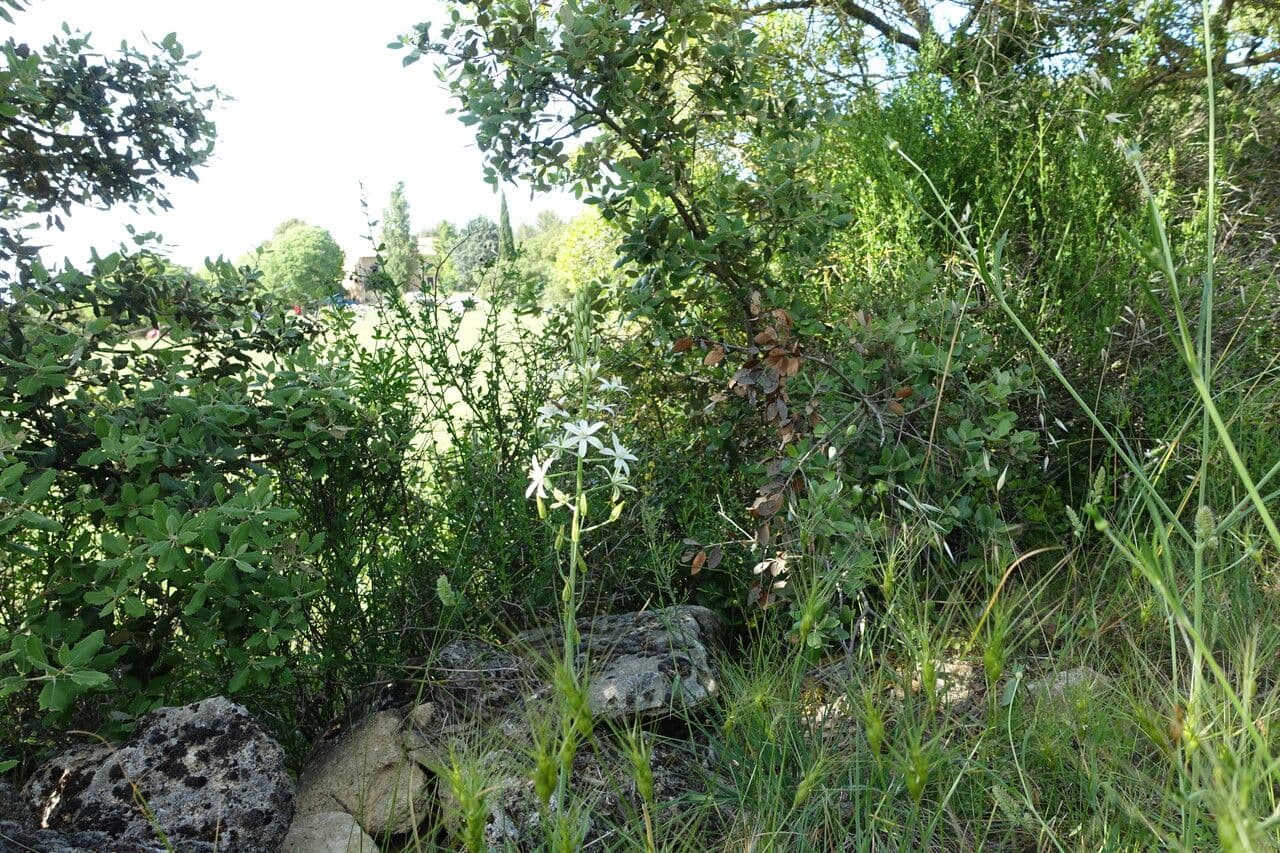 Sněžné 13