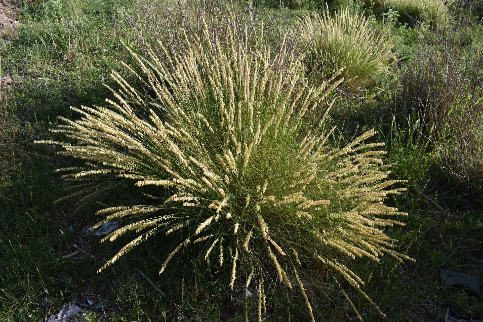 Kostřavice 10