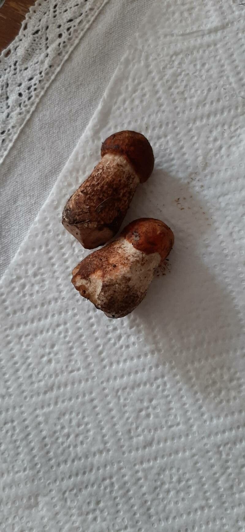 Jicama