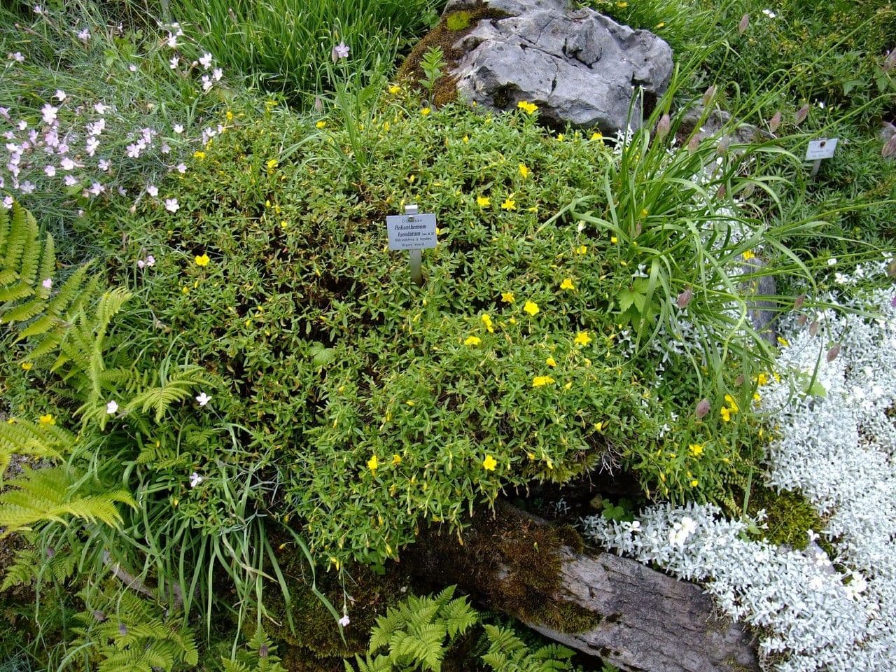 Devaterník 10