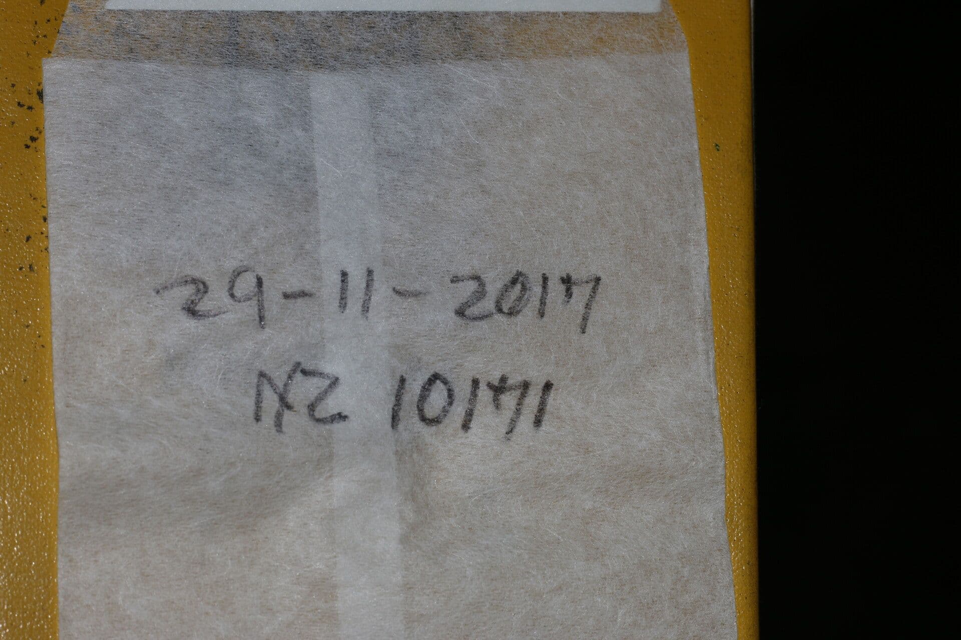 Chrysophyllum 5