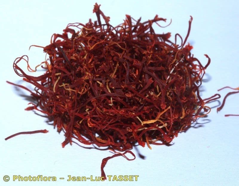 Safran