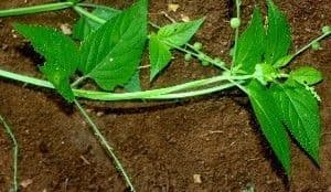 Priva 24