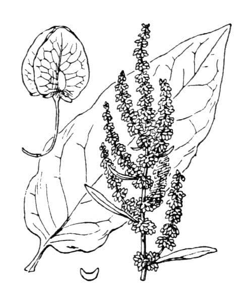 B turnaj 26