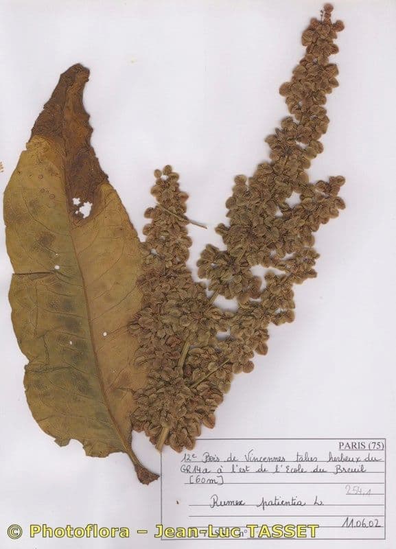 B turnaj 27