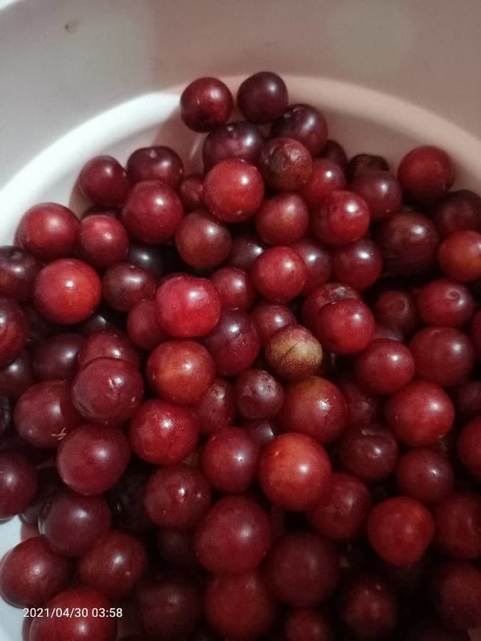 Indická švestka 5