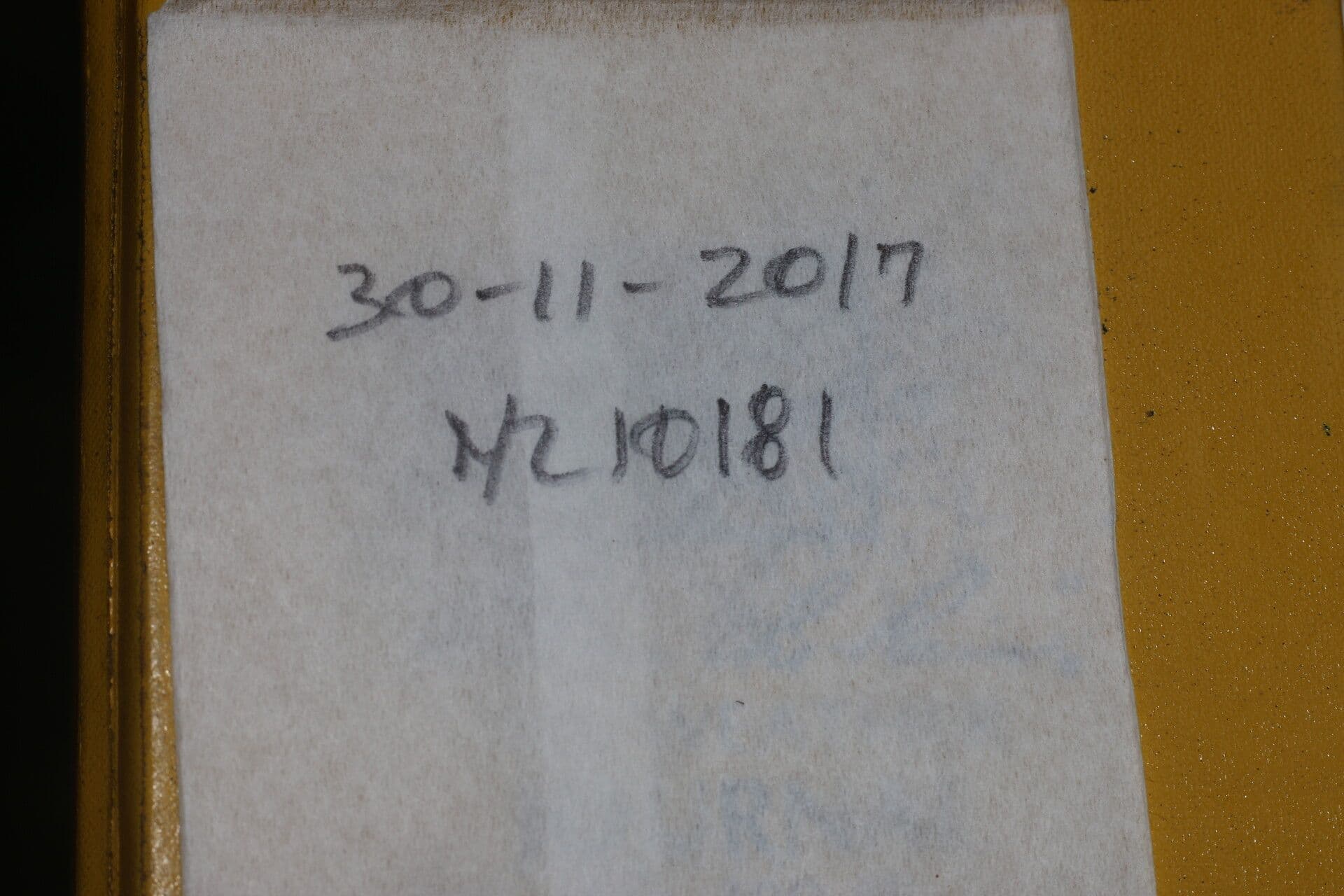 Notopleura 18