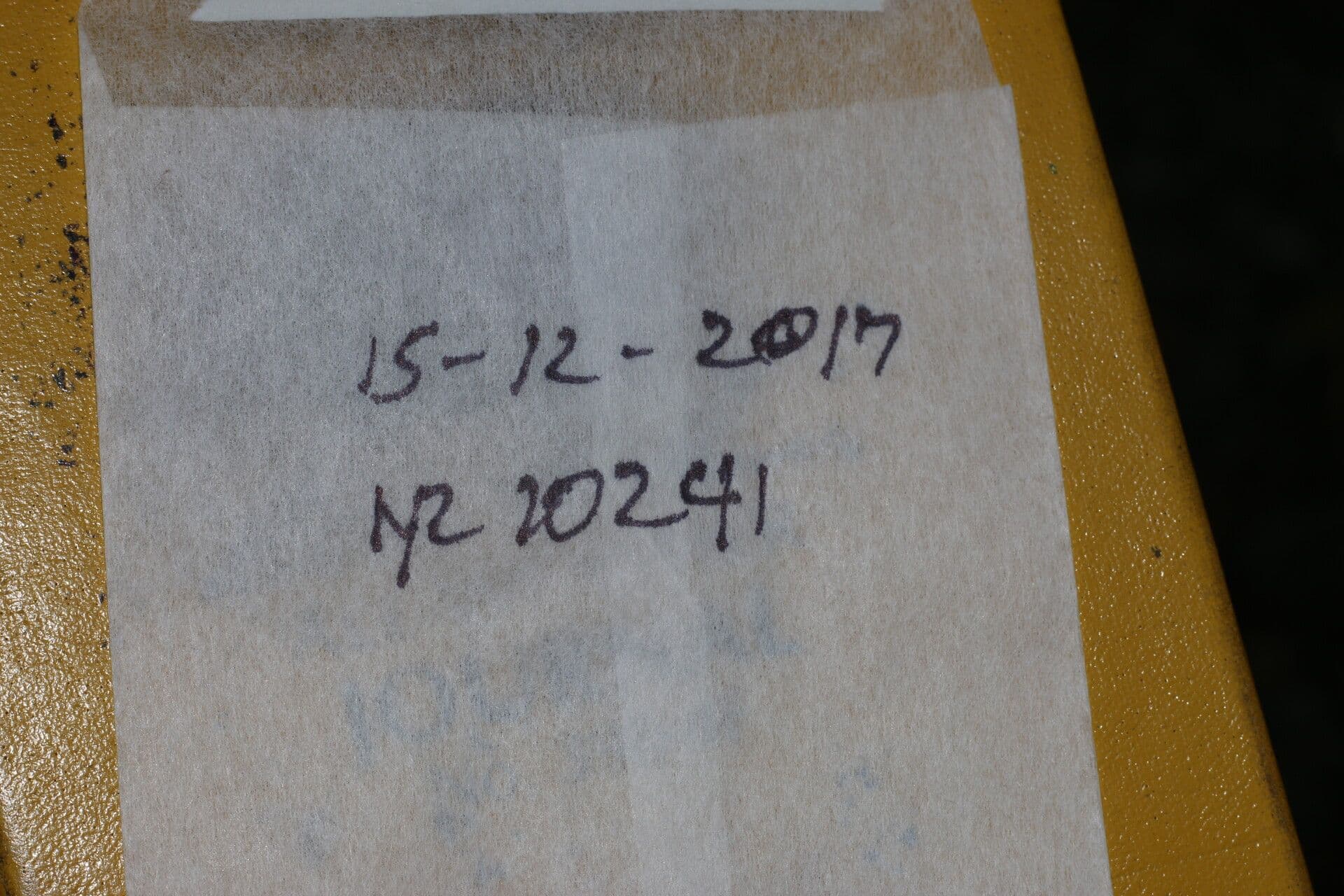 Schoepfia di Schreber 12