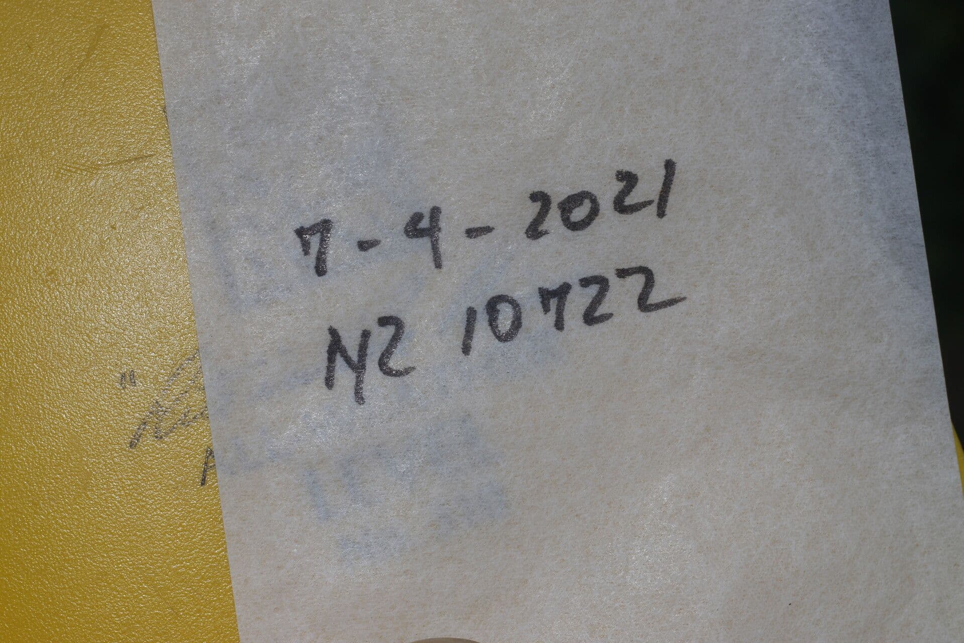 Tassadia 20