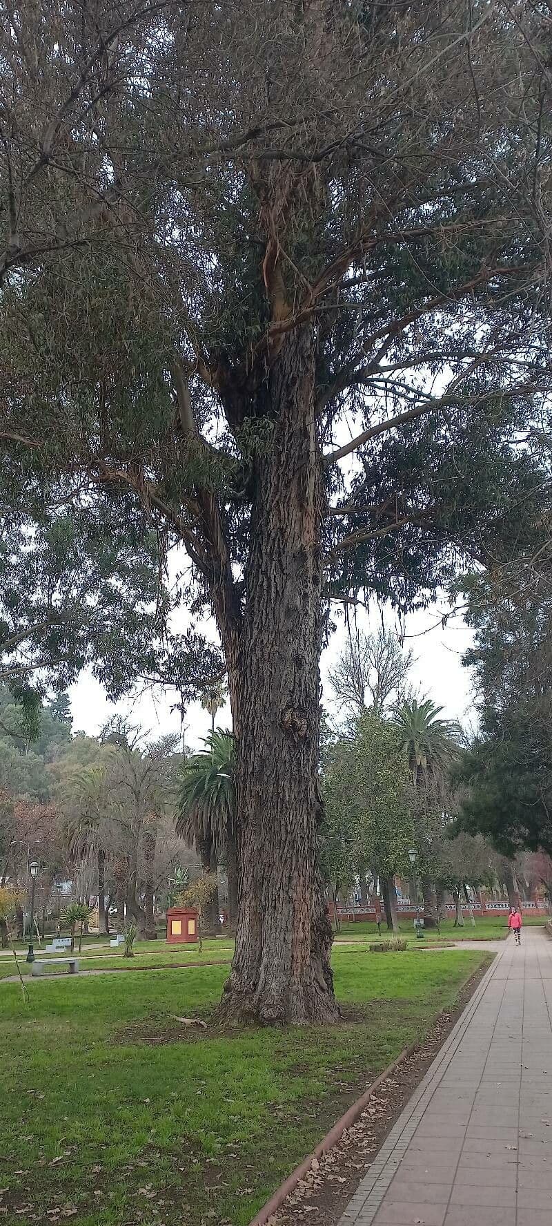 Poligono anfibio 9