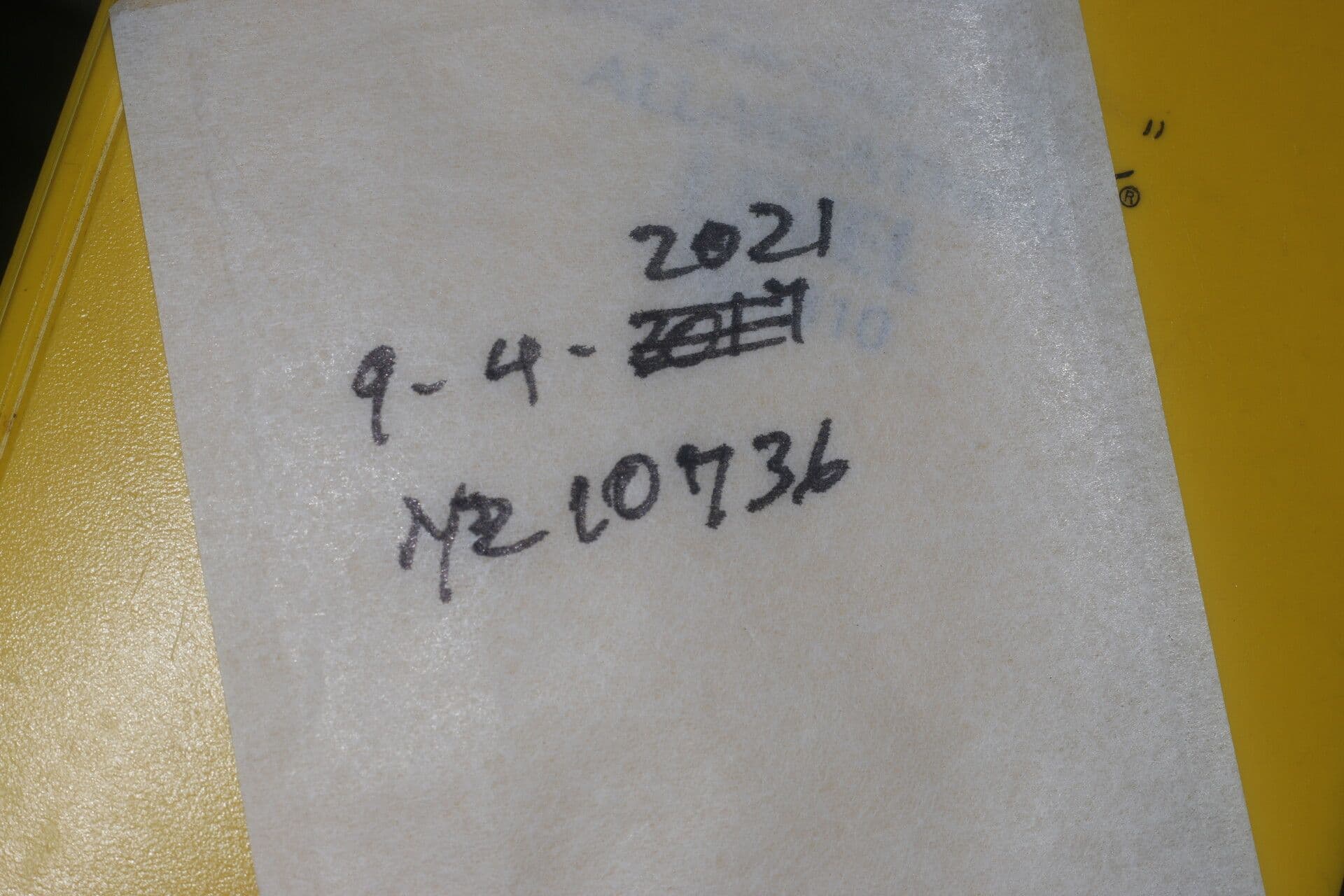 Tapirira 27