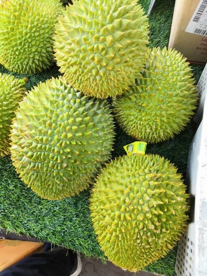 Durian