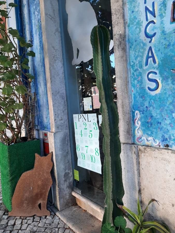 Abessinischer Wolfsmilch 14