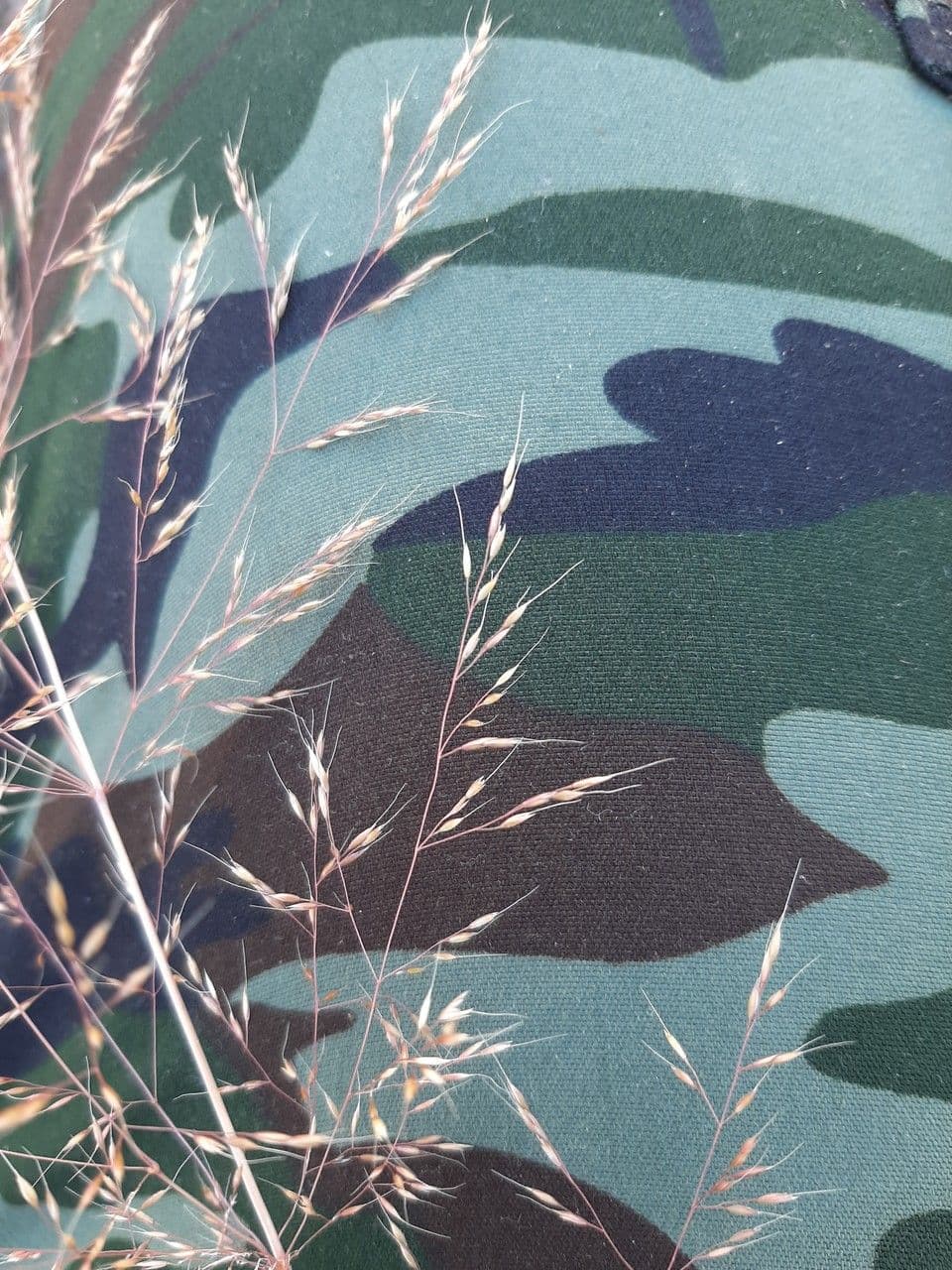 Cappellini comuni 7