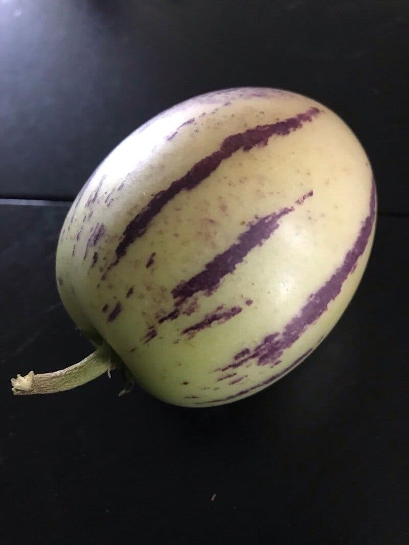 Pepino 5