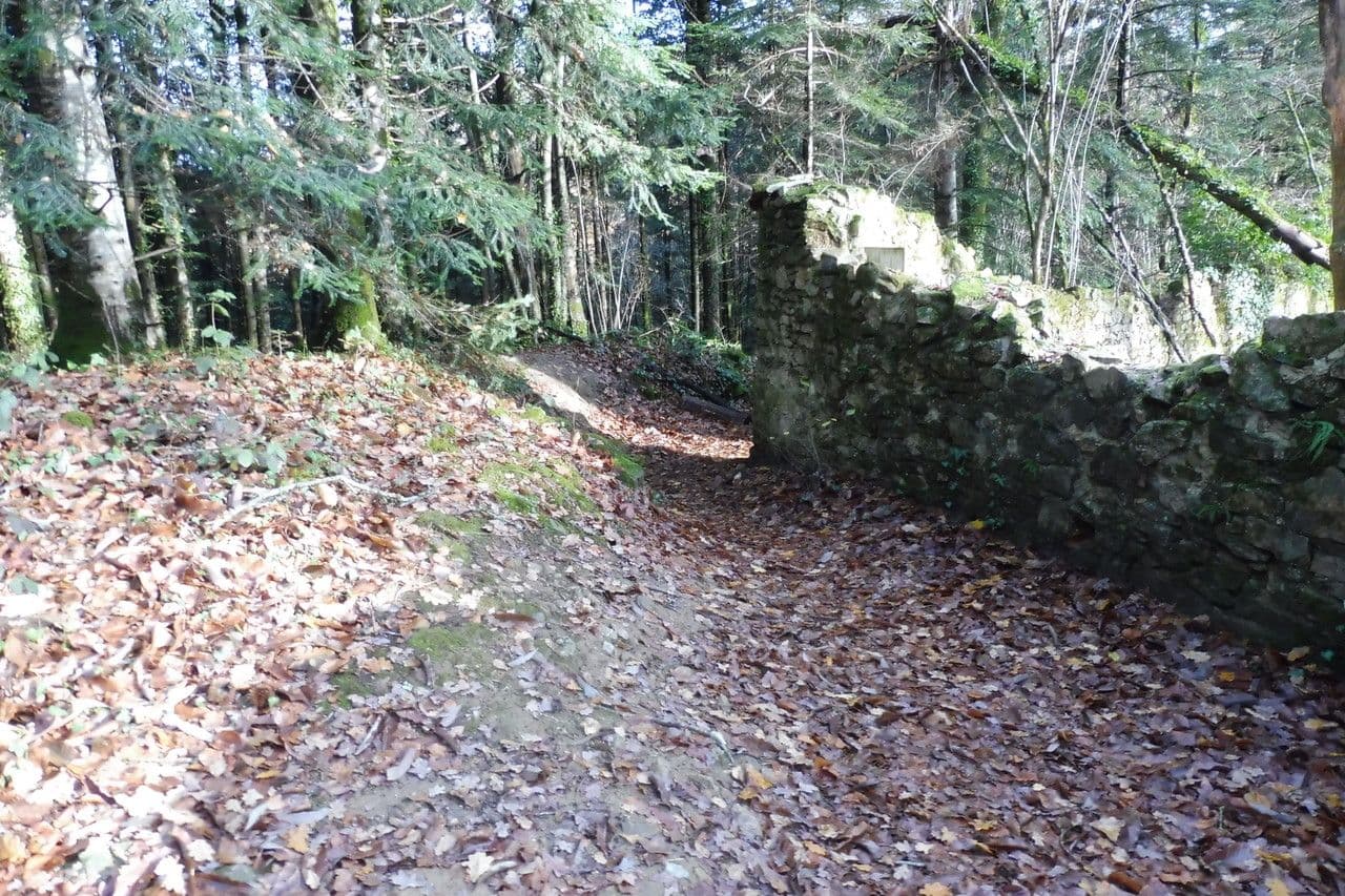 Rovo vestito 15