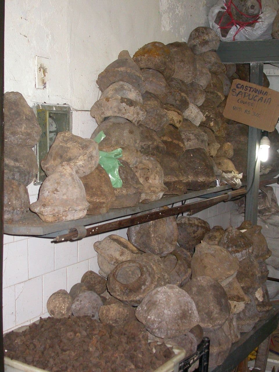 Noce del paradiso