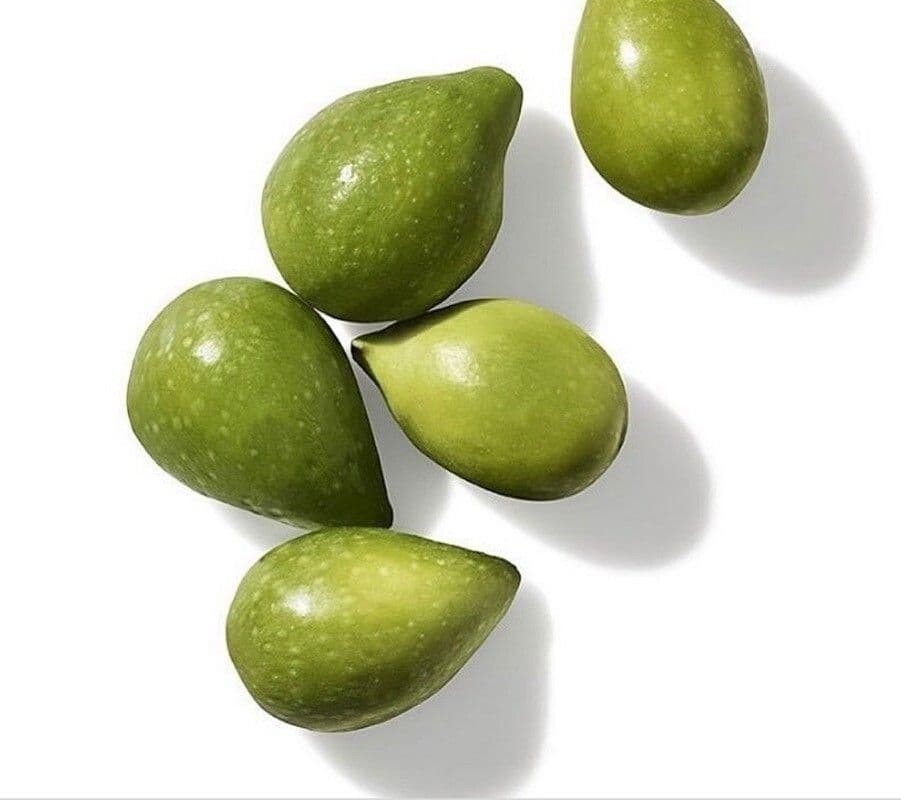 Terminalia