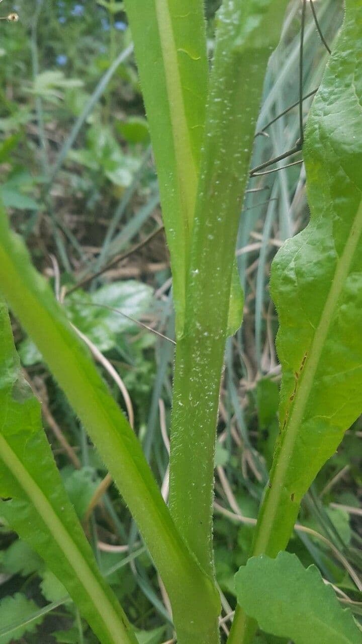 B turnaj 22