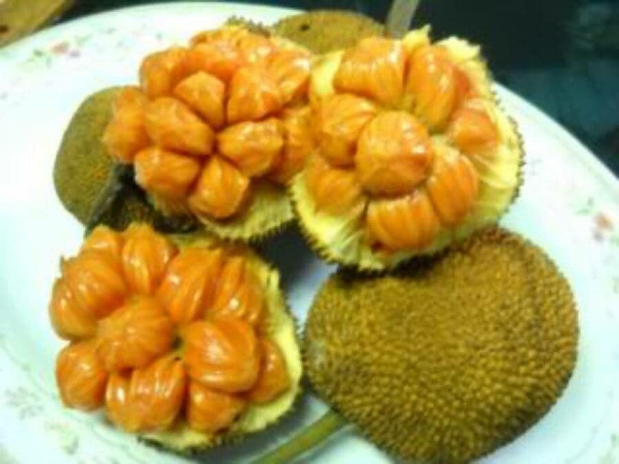 Jackfruit 2