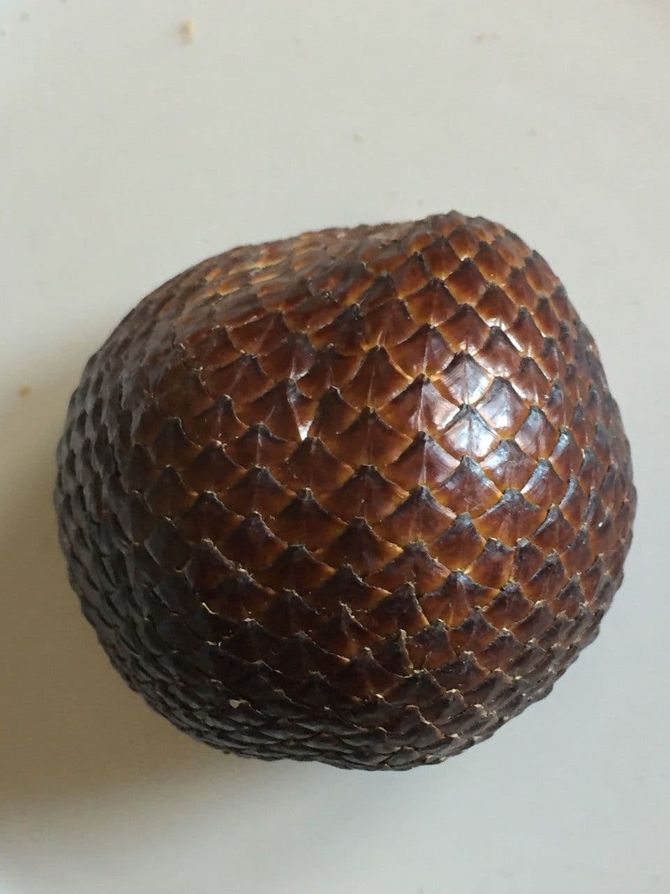 Salak 15