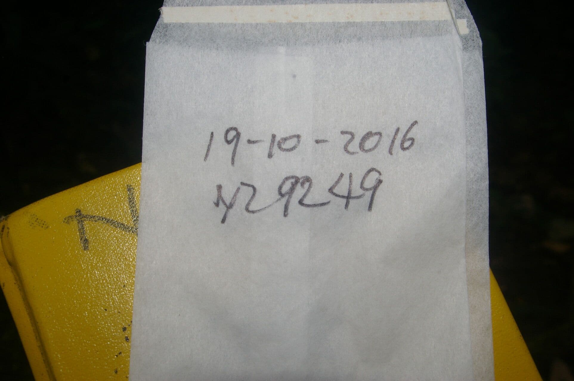 Glatte Malpighie 25
