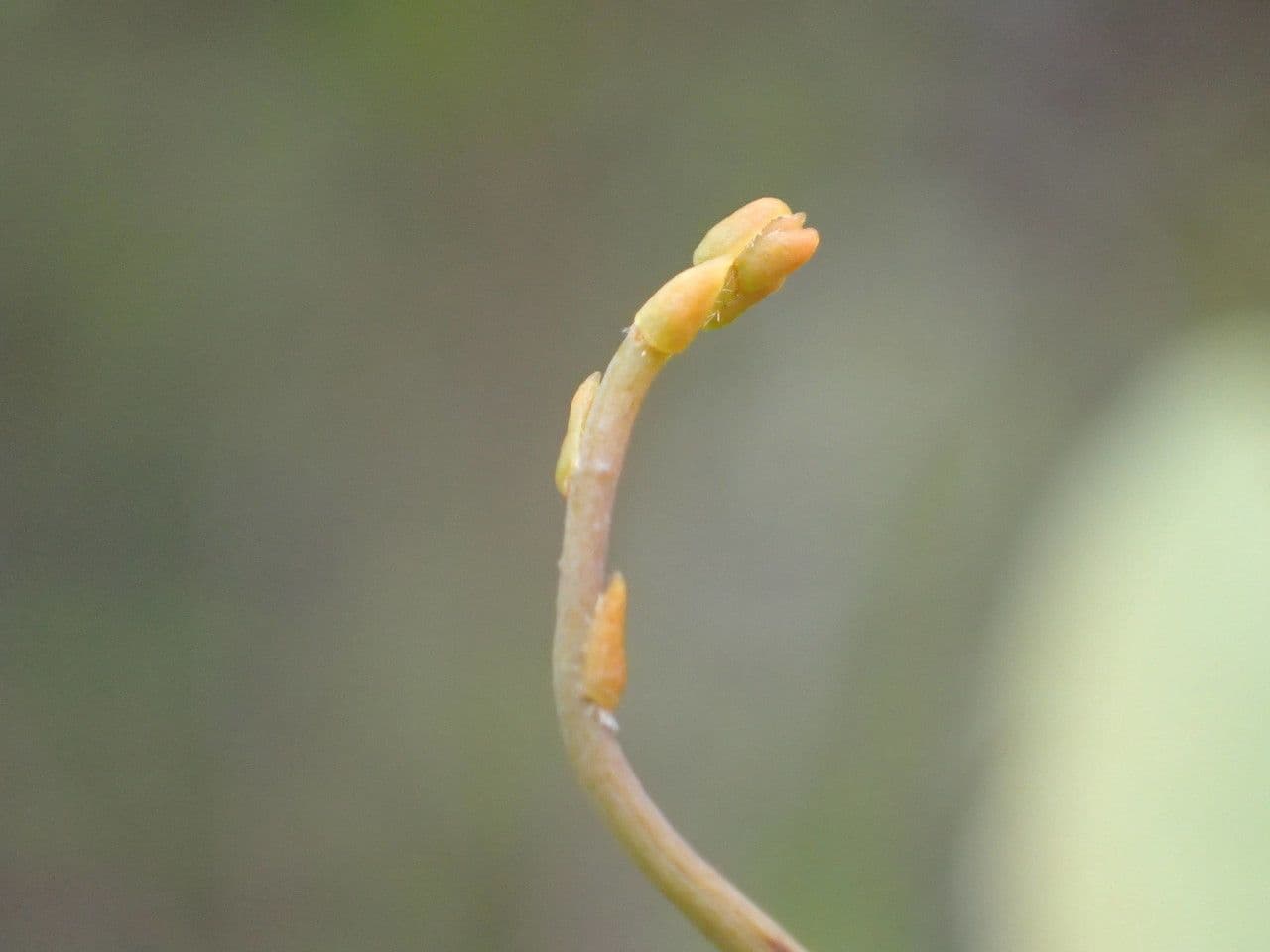 Seide 9