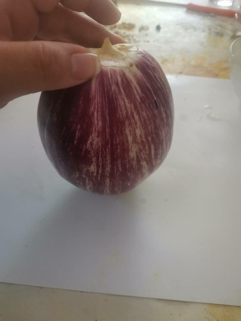Melanzana 26